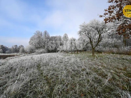 Prodej domu 300 m², pozemek 8694 m²