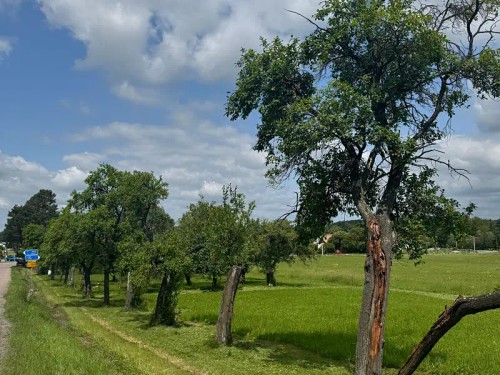 Prodej projektu 98 m², pozemek 948 m²