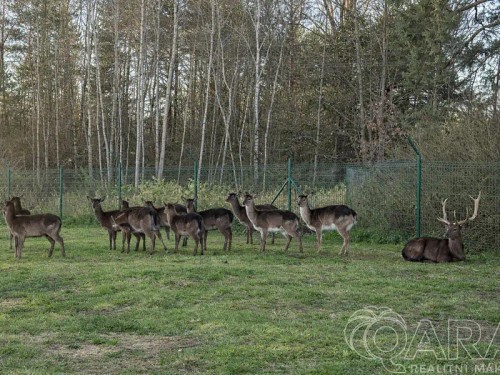 Prodej domu 140 m², pozemek 1068 m²