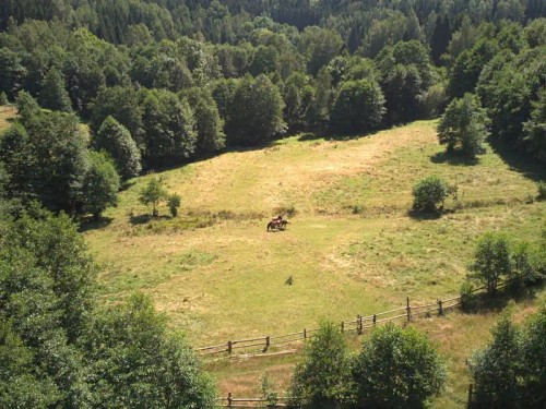 Prodej stavebního pozemku 3446 m²