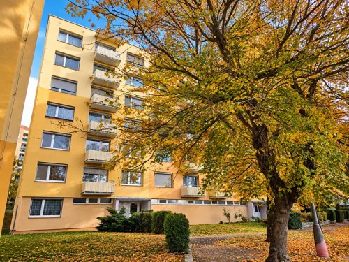 Prodej bytu 3+1 65 m²