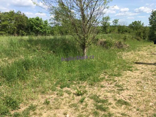 Prodej stavebního pozemku 19890 m²