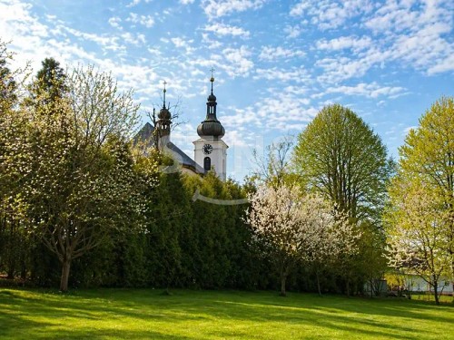 Prodej domu 197 m², pozemek 4419 m²