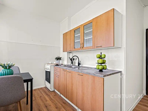 Prodaný byt 2+1 52 m²