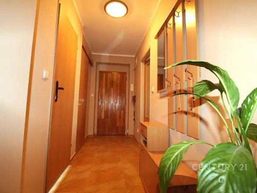 Prodej bytu 2+1 58 m²