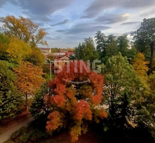 Prodej bytu 3+1 66 m²