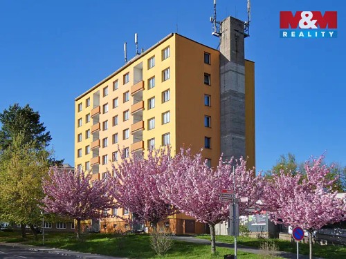 Prodej bytu 3+1 81 m²