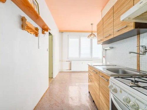 Prodaný byt 1+1 42 m²