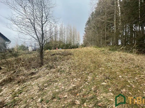 Prodej projektu 90 m², pozemek 1753 m²