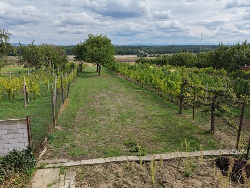 Prodej domu 180 m², pozemek 1822 m²