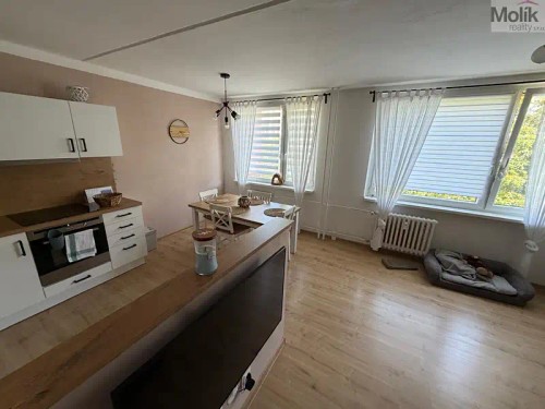 Prodej bytu 3+1 67 m²
