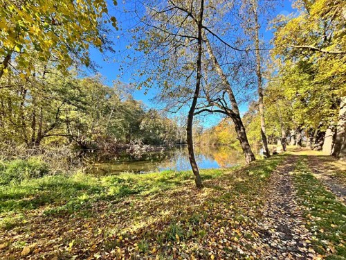 Prodej domu 105 m², pozemek 1478 m²