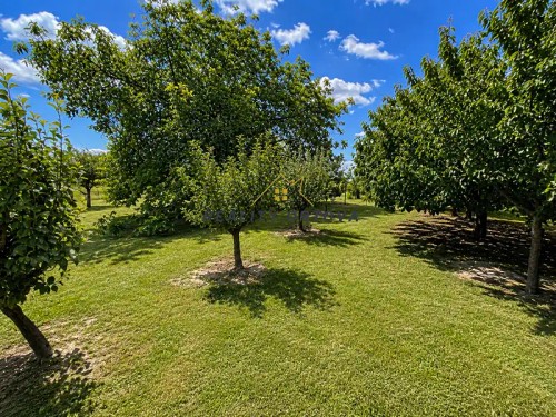 Prodej zemědělské usedlosti 166 m², pozemek 2688 m²