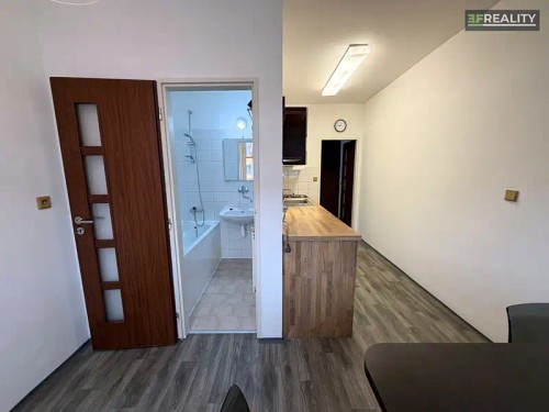 Prodaný byt 1+1 34 m²