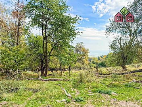 Prodej stavebního pozemku 7538 m²