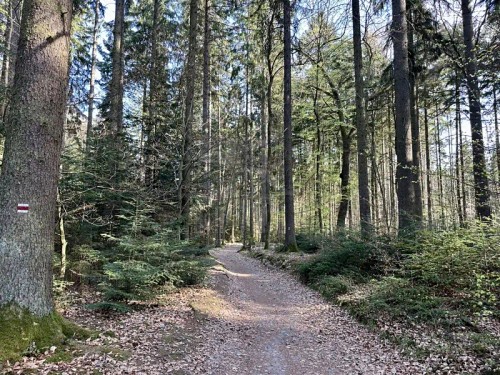 Prodej stavebního pozemku 1795 m²