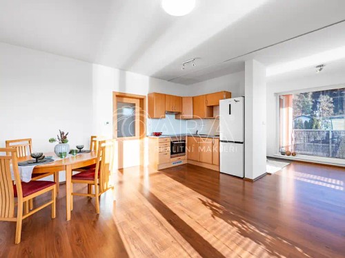 Prodaný  byt 1+kk 45 m²