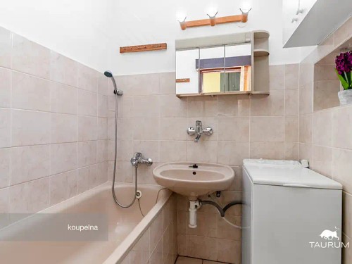 Prodej bytu 3+1 68 m²