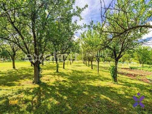 Prodej domu 122 m², pozemek 1312 m²