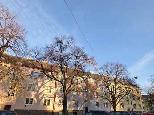 Prodaný  byt 3+1 58 m²