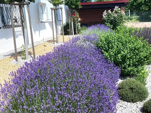 Prodej domu 160 m², pozemek 2168 m²