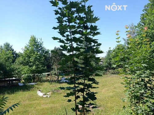 Prodej stavebního pozemku 5357 m²