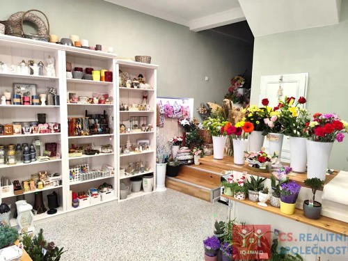 Prodej domu 326 m², pozemek 246 m²