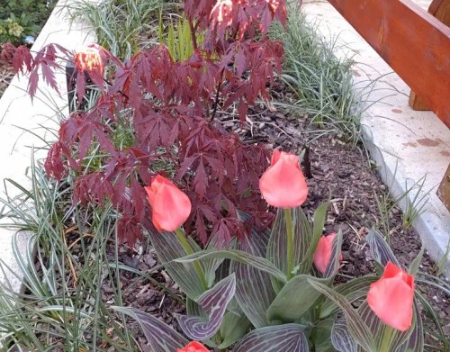 Prodej bytu 2+1 56 m²