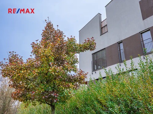 Prodaný byt 3+kk 83 m²