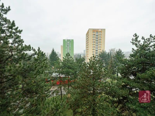 Prodaný byt 1+kk 29 m²