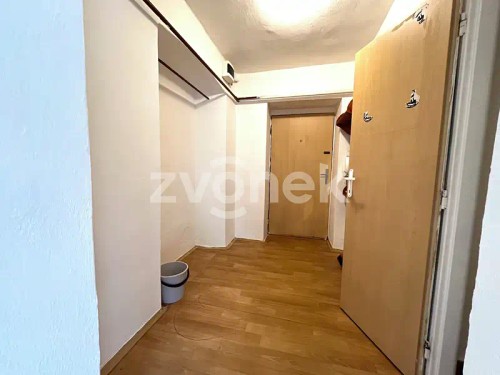 Prodej bytu 1+1 46 m²