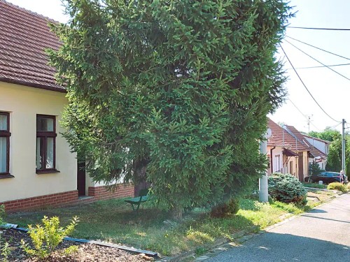 Prodej domu 95 m², pozemek 405 m²