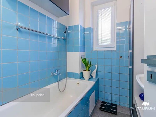 Prodej bytu 3+1 75 m²