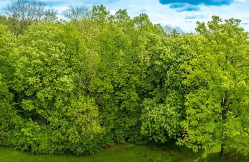 Prodej bytu 2+1 54 m²