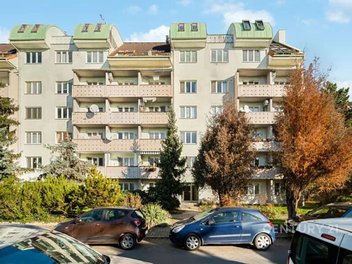 Prodej bytu 2+1 54 m²