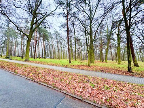 Prodaný byt 2+1 55 m²