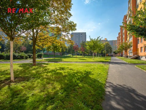 Prodaný byt 3+1 60 m²