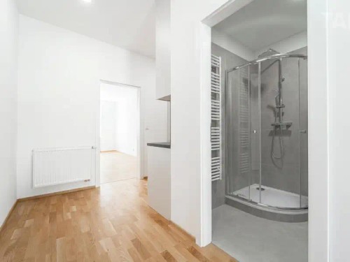 Prodaný byt 1+1 41 m²