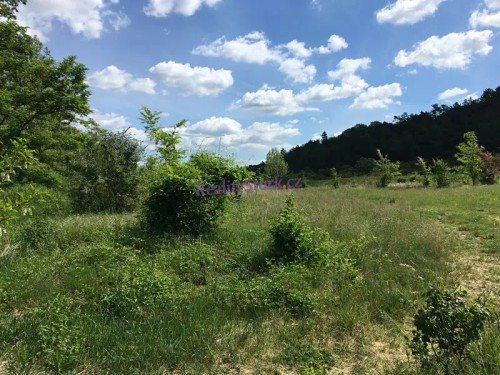 Prodej stavebního pozemku 19890 m²