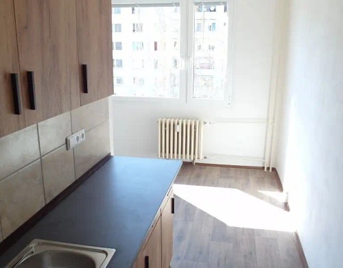 Prodaný  byt 1+1 42 m²