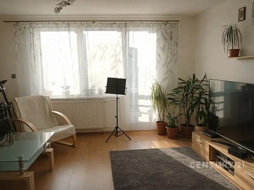 Prodej domu 272 m², pozemek 959 m²
