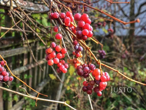 Prodej domu 116 m², pozemek 9463 m²