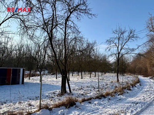 Prodej chaty 12 m², pozemek 4790 m²