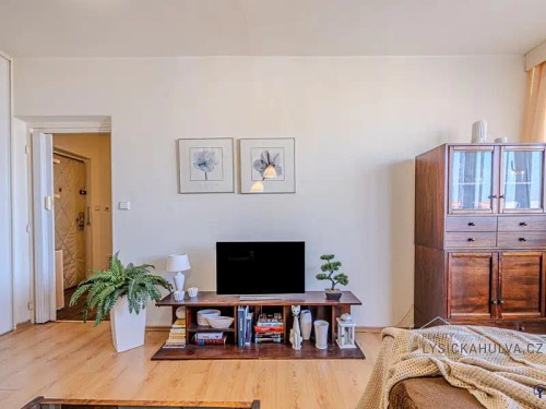 Prodaný byt 1+1 44 m²
