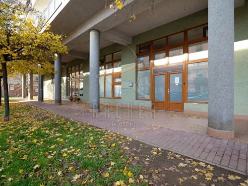 Prodej atypického bytu 240 m²