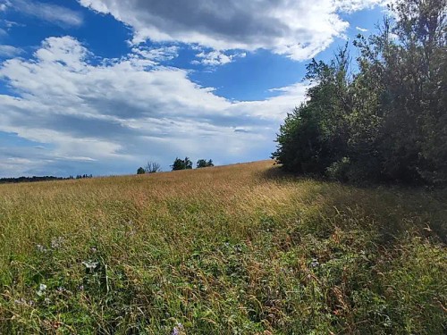 Prodej stavebního pozemku 1437 m²