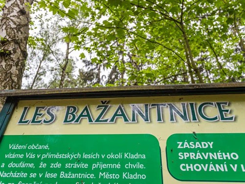 Prodaný  byt 2+kk 48 m²