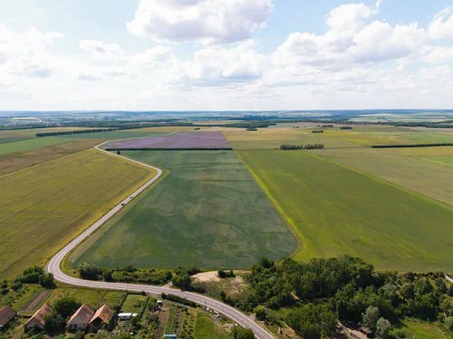 Prodej domu 139 m², pozemek 447 m²