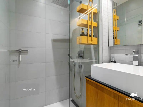 Prodej bytu 2+1 54 m²