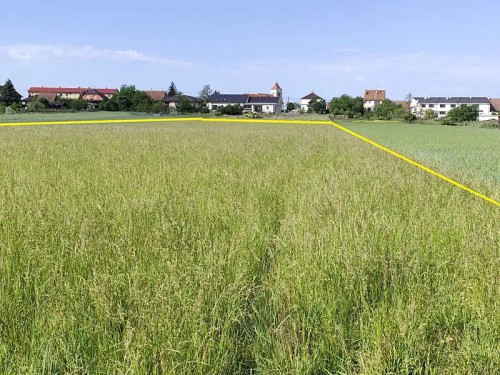 Prodej stavebního pozemku 6890 m²